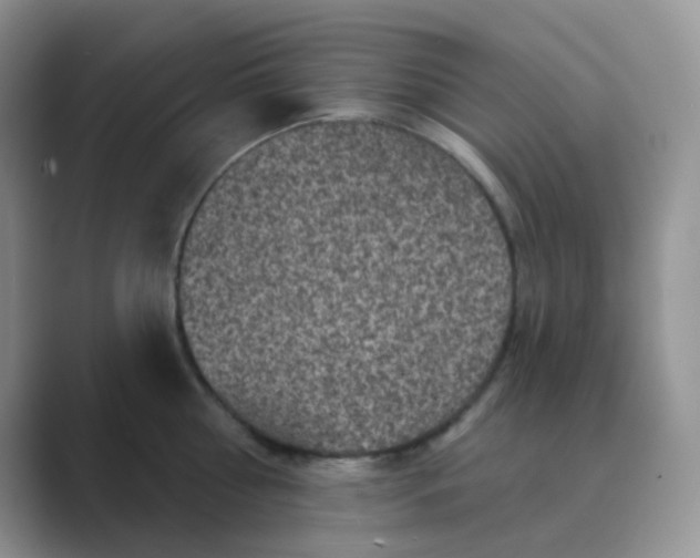 X0000089700810200707051642