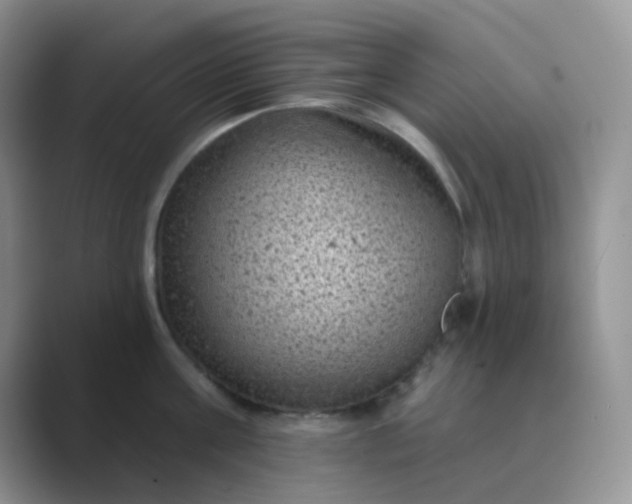 X0000089700811200707051642