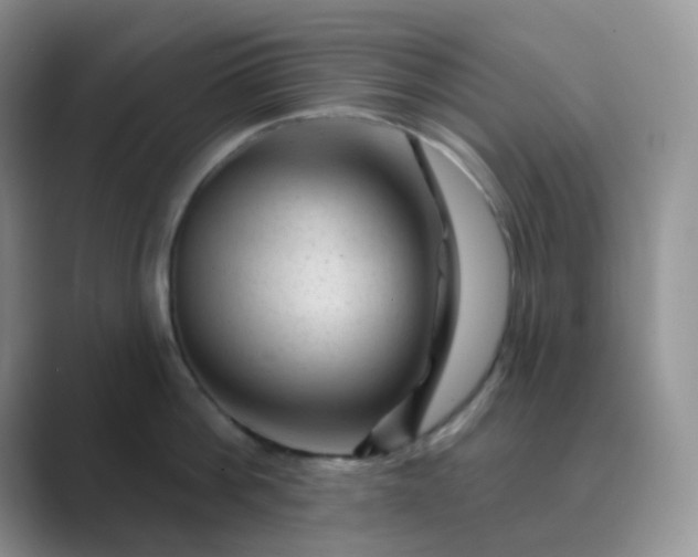 X0000089700812200707051642