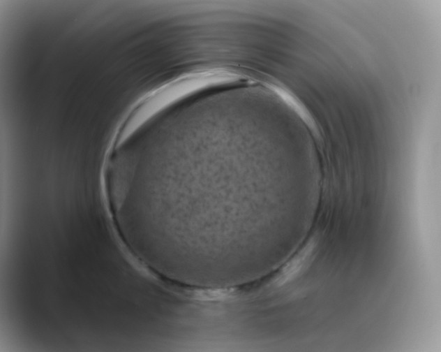 X0000089700813200707051642