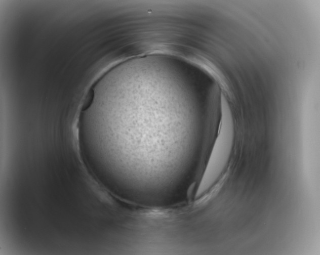 X0000089700814200707051642