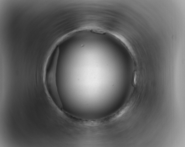 X0000089700815200707051642