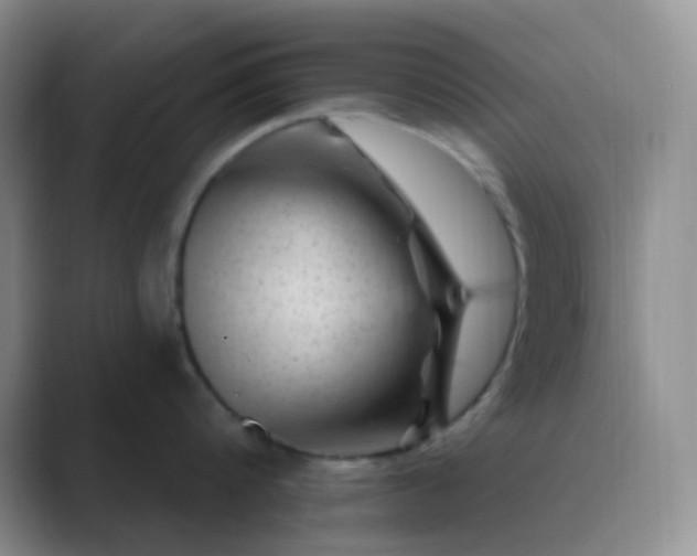 X0000089700816200707051642