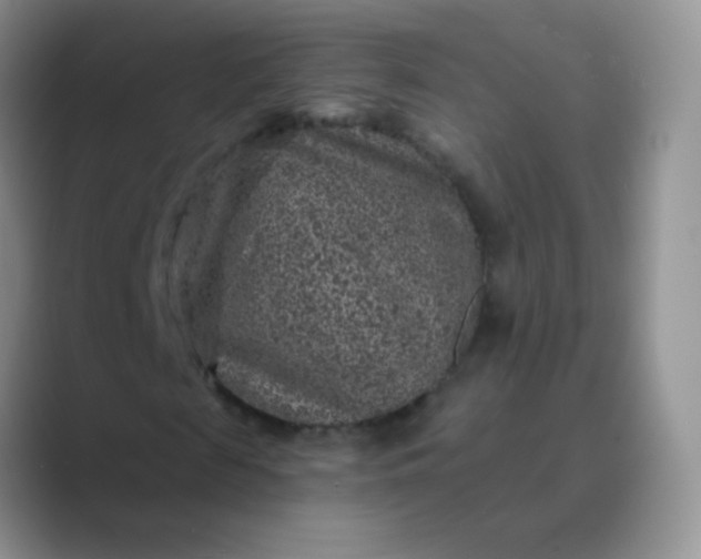 X0000089700817200707051642