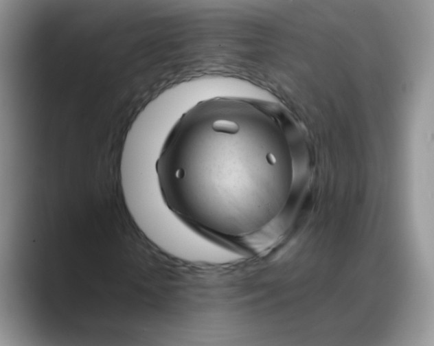 X0000089700818200707051642