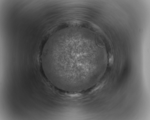 X0000089700819200707051642