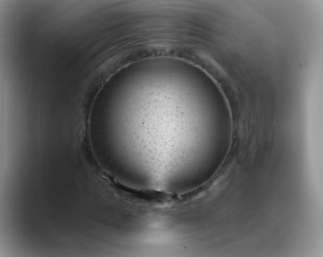 X0000089700821200707051642