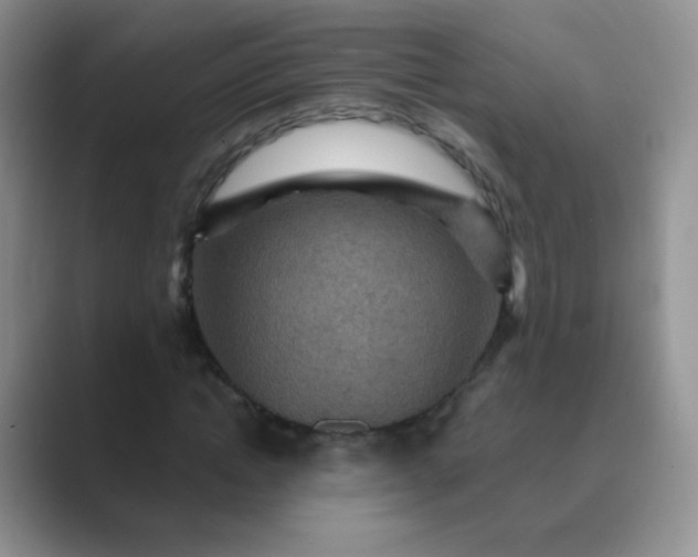 X0000089700822200707051642