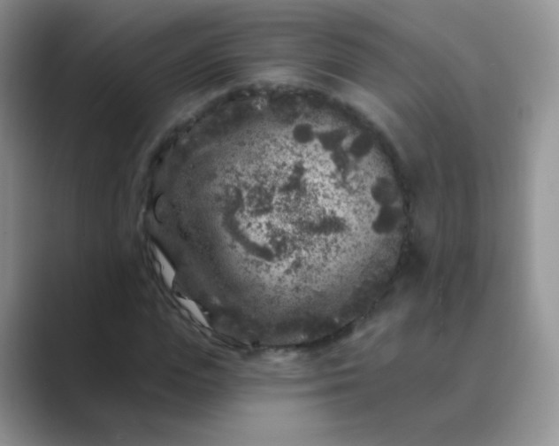 X0000089700823200707051642