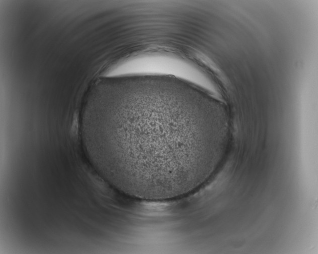 X0000089700825200707051642