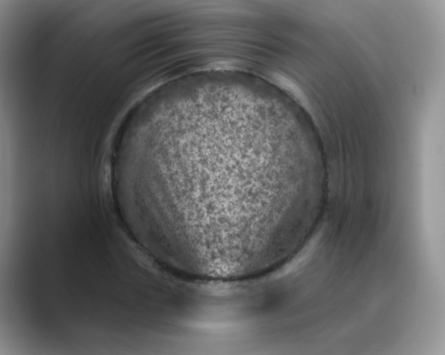 X0000089700827200707051642