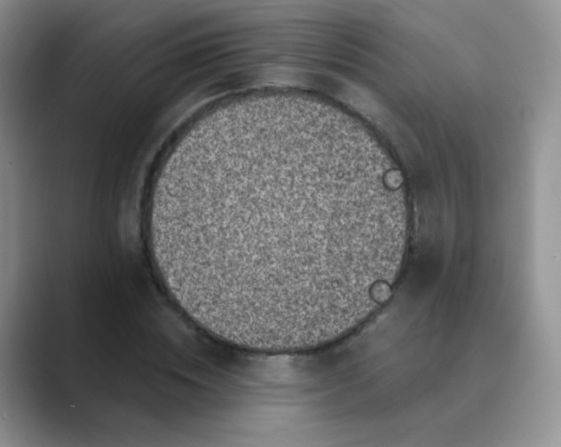 X0000089700828200707051642