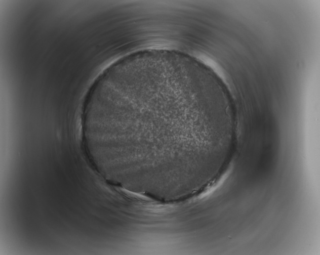 X0000089700829200707051642