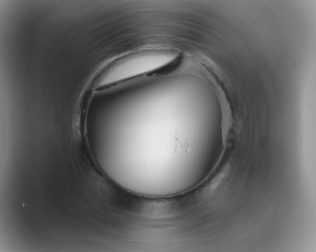 X0000089700830200707051642