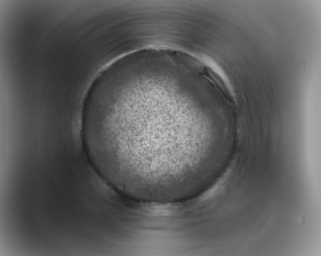 X0000089700831200707051642