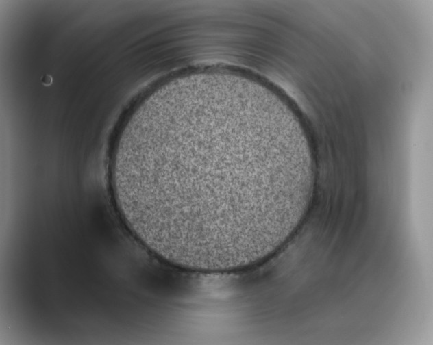 X0000089700832200707051642