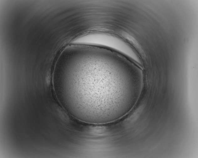 X0000089700833200707051642