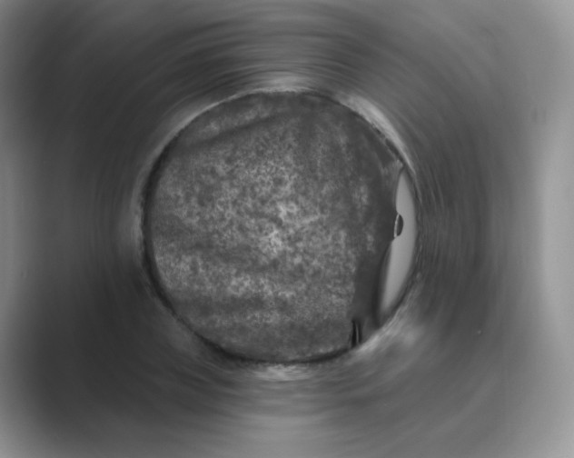 X0000089700835200707051642