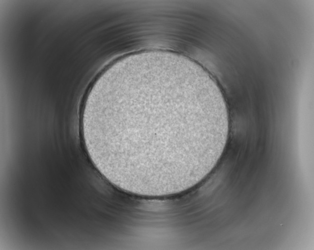 X0000089700836200707051642