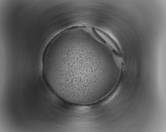 X0000089700837200707051642