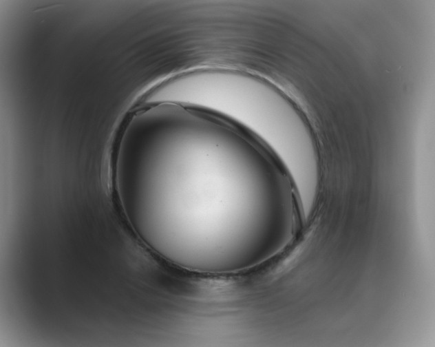 X0000089700838200707051642