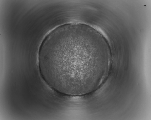 X0000089700839200707051642