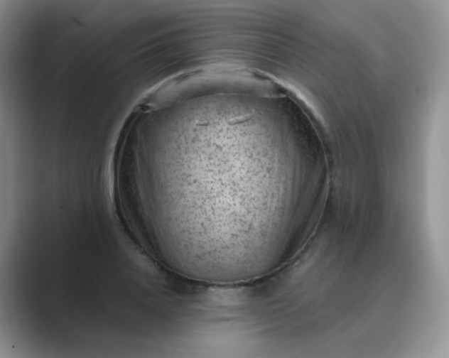 X0000089700840200707051642