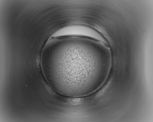 X0000089700841200707051642