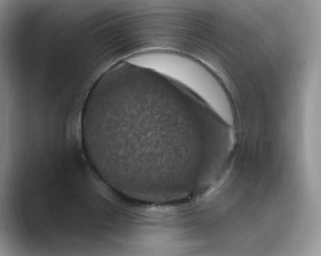 X0000089700842200707051642