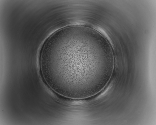 X0000089700843200707051642