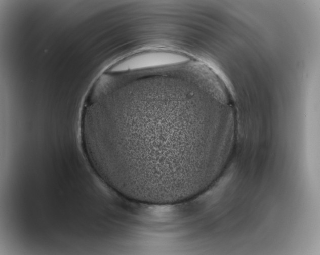 X0000089700845200707051642