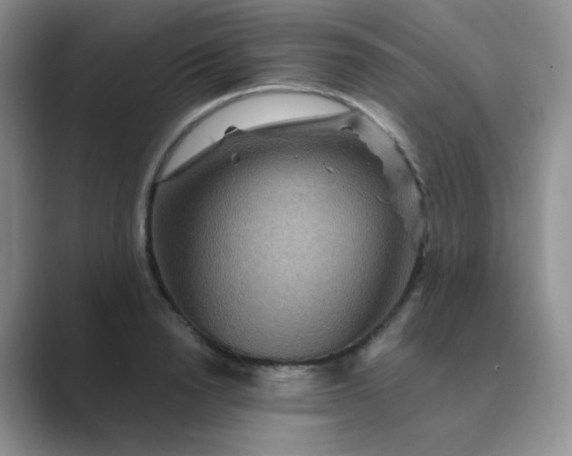 X0000089700846200707051642