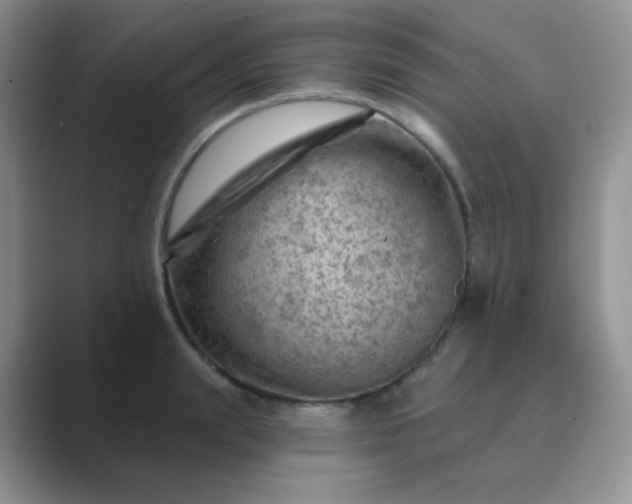 X0000089700847200707051642