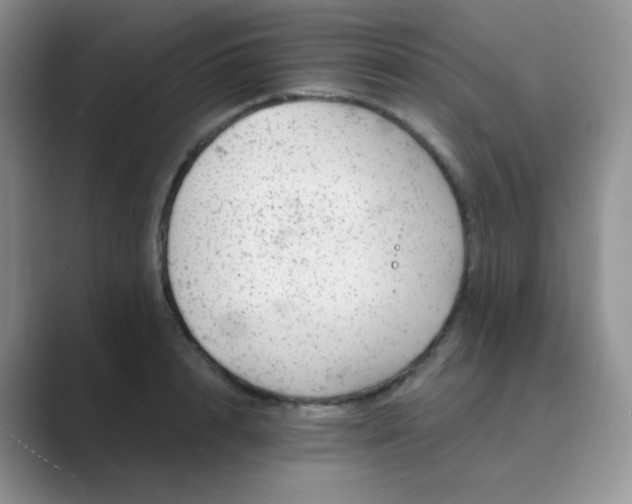 X0000089700848200707051642