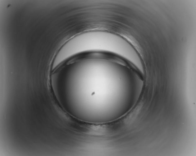 X0000089700850200707051642