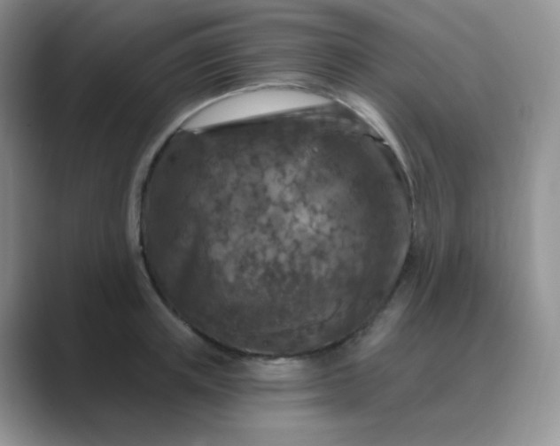 X0000089700851200707051642