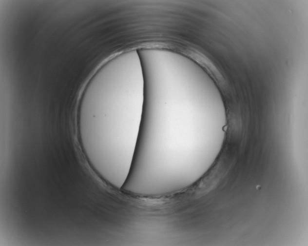 X0000089700852200707051642