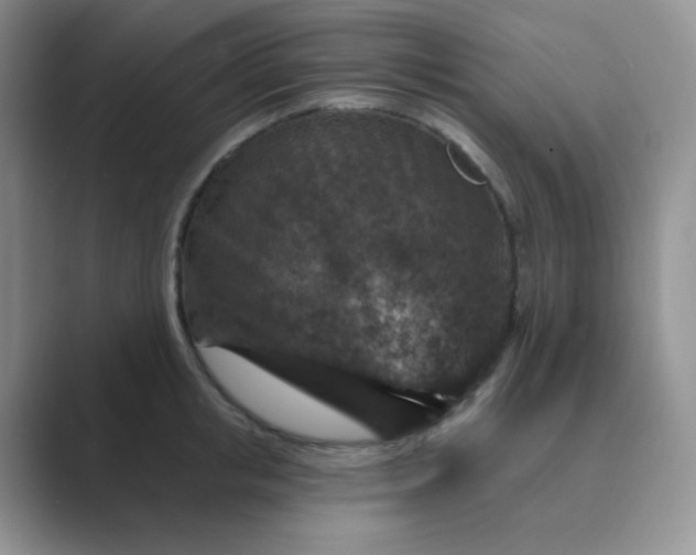 X0000089700853200707051642