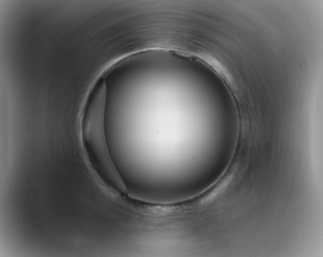 X0000089700854200707051642