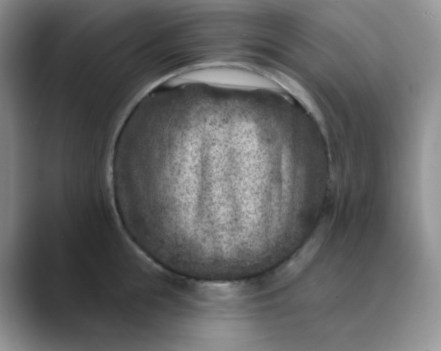 X0000089700855200707051642