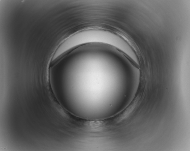 X0000089700858200707051642