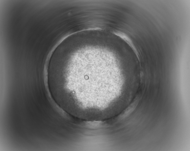 X0000089700859200707051642