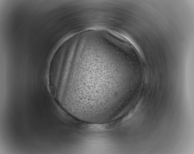 X0000089700861200707051642