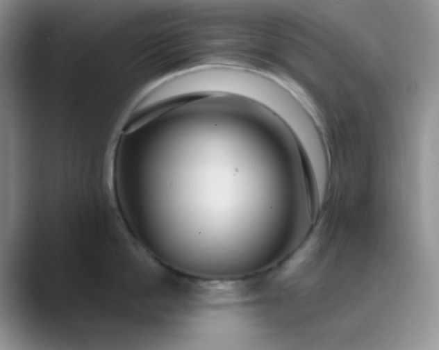 X0000089700862200707051642