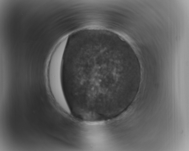 X0000089700864200707051642