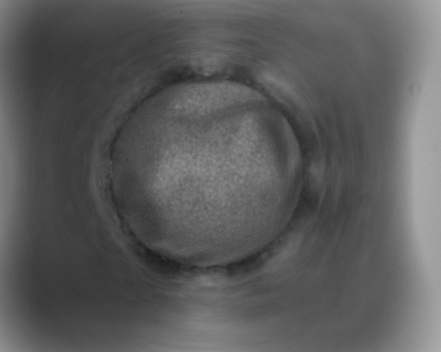 X0000089700865200707051642