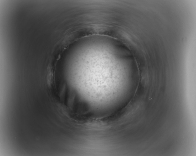 X0000089700866200707051642