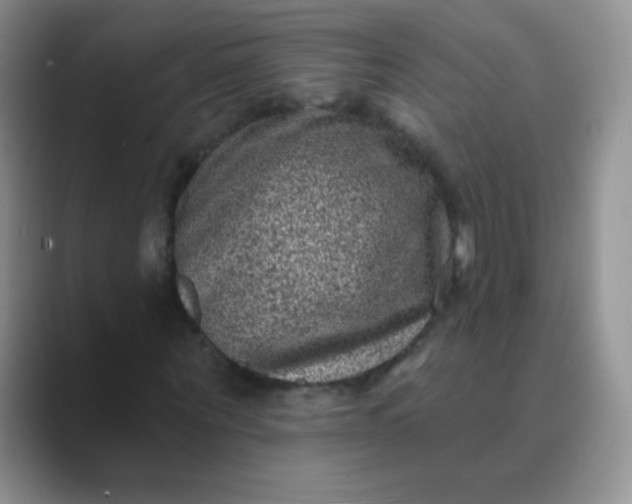 X0000089700867200707051642