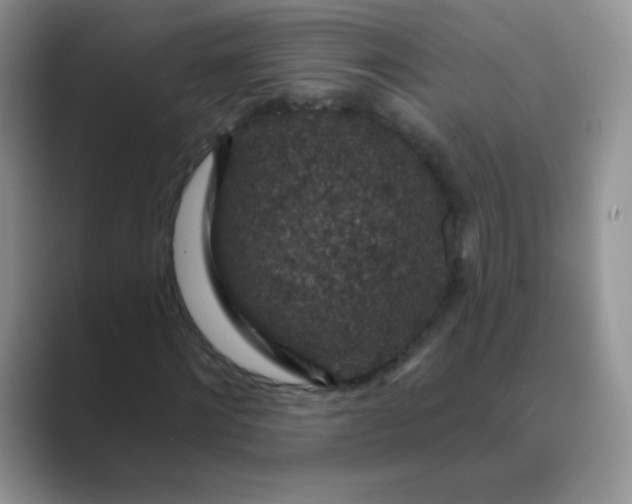 X0000089700868200707051642