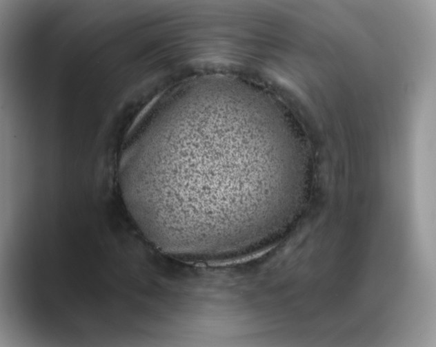 X0000089700870200707051642